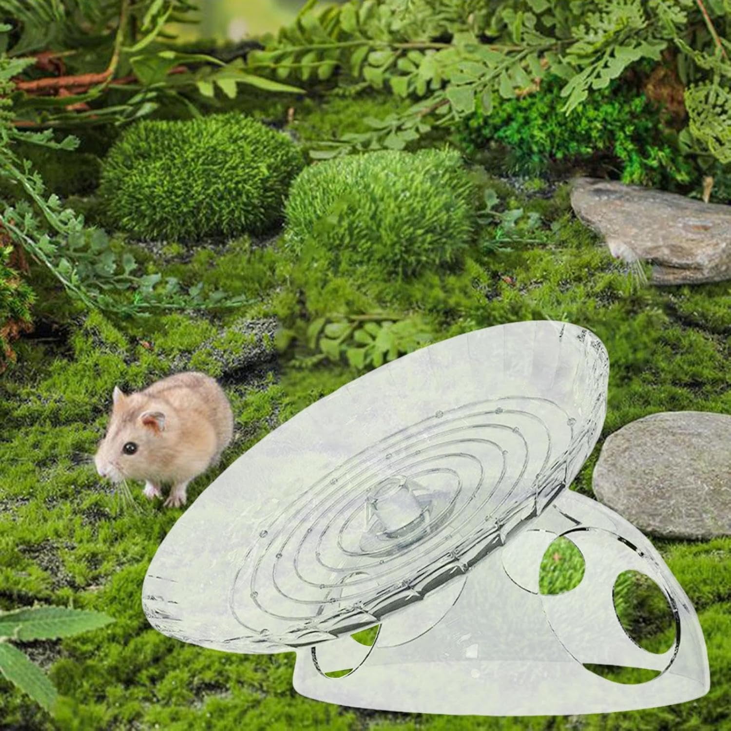 Transparent Clear Hamster Exercise Flying Disc Wheels - Flying Saucer ...