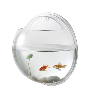 23cm Transparent Wall Mounted Fish Bowl - Hanging Aquarium For Betta Fish & Plants