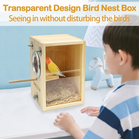 Transparent Design Parakeet Nesting Box for Small Birds - Natural Wood & Acrylic Bird Breeding House