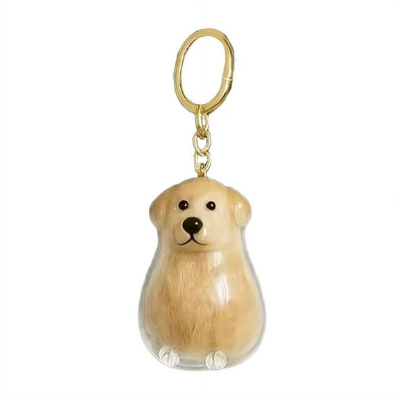 Transparent Dog Hair Collector Keychain, Memorial Storage Box & Keepsake for Pet Owners, Cute Charm to Cherish Your Furry Friend