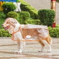 thumbnail image 1 of Transparent Dog Raincoat for Large Dogs Golden Retriever Labrador Waterproof Rain Jacket with Reflective Strips Outdoor Pet Clothes Orange XL, 1 of 4