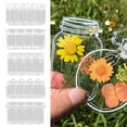 thumbnail image 1 of Transparent Dried Flower Bookmarks Set | 20pcs Real Flower Embedded Clear Bookmark Pack | Unique Elegant Pressed Floral Design | Handmade DIY Craft | Gifts for Readers | Durable Flexible Material, 1 of 3