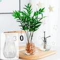 thumbnail image 1 of Transparent Glass-Look Plastic Hydroponic Planter Diamond Shaped Flower Vase for Philodendron Moneywort Green Plants Home Office Desktop Living Room Decor Accents, Clear, 1pc, 1 of 6