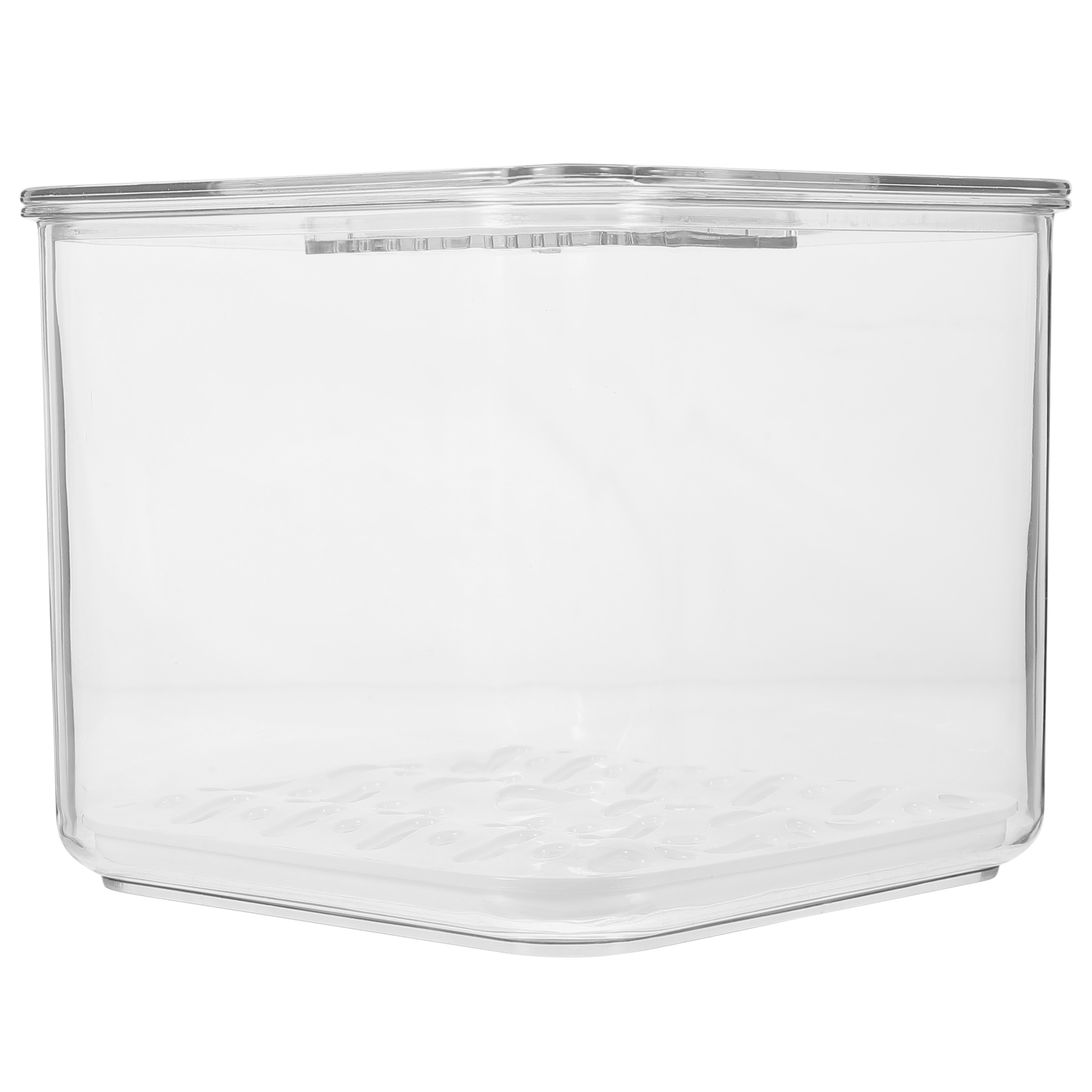 Transparent Grain Food Refrigerator Containers for Fridge Fruit Storage