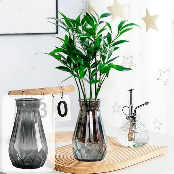 Transparent Hydroponic Planter, Self-Watering Glass-Look Vase, Shatterproof Plastic Plants Container, Desktop Decor for Pothos and Moneywort