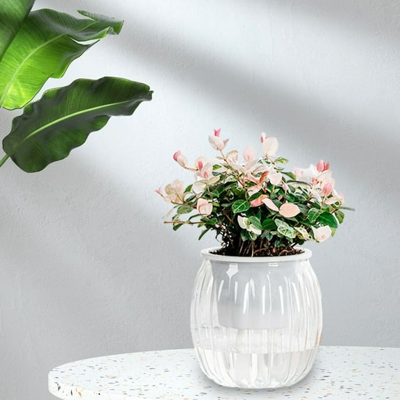 Transparent Hydroponic Potted Plant Pots, Small Indoor Transparent Flower Pots for Desktop, Modern Living Room Flower Pot for Plant Lovers, Plastic Decorative Planter for Home Décor