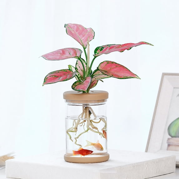 Transparent Hydroponic Small Potted Plant Pots, Indoor Living Room Desktop Transparent Hydroponic Plastic Flower Pots, A Must For Green Plant Lovers, Transpare, Home Essentials