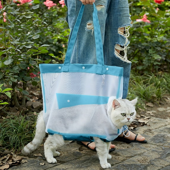 Transparent Mesh Cat Carrier Bag | Nylon Portable Foldable Handheld Pet Tote | Breathable Ventilated Travel Cage | Adjustable Safety Design, Washable, Sky Blue/Gray/Beige/Mint, Large 26.3"x12.6"x7"