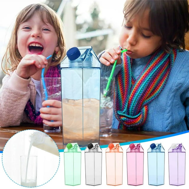 Transparent Milk Carton Container, Reusable Juice Container for Fridge