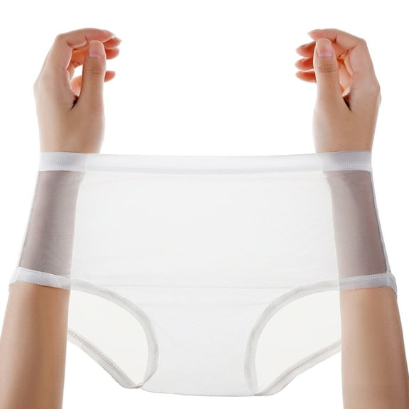 Transparent Panties for Women See Through Mesh Sheer Underwear Seamless Mid Rise Thin Briefs
