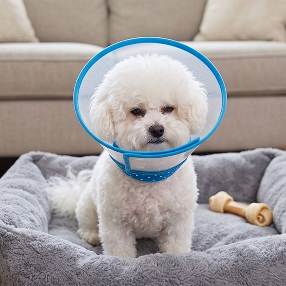 Transparent Pet Cone Collar, Adjustable Protective Elizabethan Collar, Anti‑Lick Wound Healing Cone For Small Medium Dogs And Cats