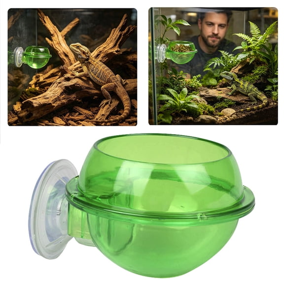 Transparent Reptile Feeding Bowl with Strong Suction Cup Escape-Proof Elevated Dish for Gecko Lizard Chameleon on Glass Terrariums
