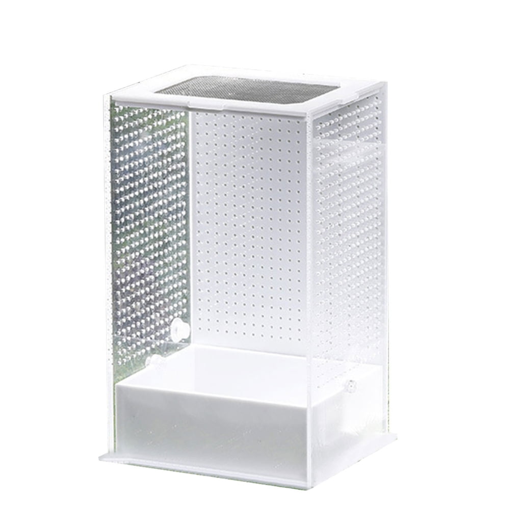 Transparent- Reptile Isopods Lizards Mantis- Invertebrates Feeding Box ...