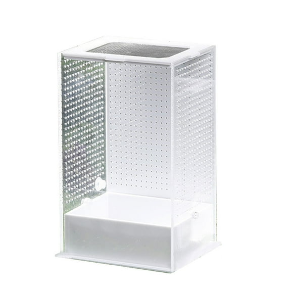 Transparent- Reptile Isopods Lizards Mantis- Invertebrates Feeding Box Spider Breeding Tanks Household