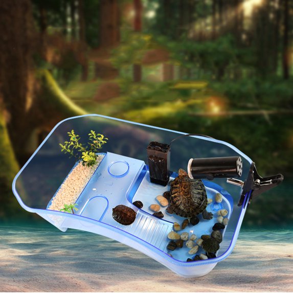 Transparent Reptile Vivarium, 2 Feeding Tray and for Terrapin Tortoise Turtle Tank Aquarium - Blue