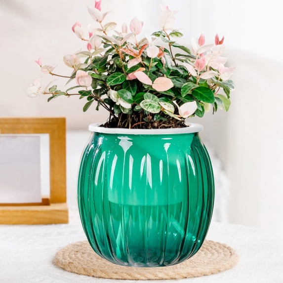 Transparent Self-Watering Hydroponic Container, Large Water Storage Plastic Flower Pot, Lazy Vessel for Indoor Desktop Greenery
