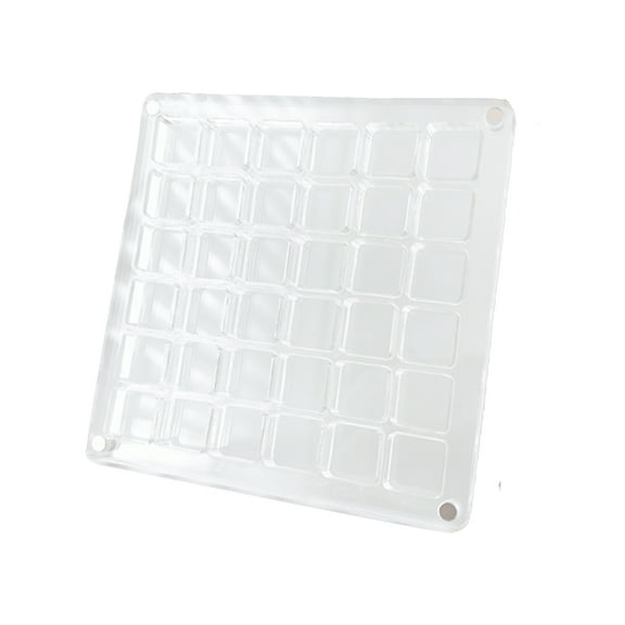 Transparent Storage Box Magnetic Seashells Box for Artists and Ocean Enthusiasts