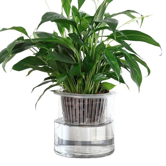 Transparent Straight Cylindrical Glass Vase Simple Hydroponic Plant Container For Pothos Peace Lily Home Desktop Decor