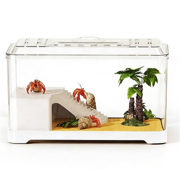 Transparent Turtle Viewing Tank - Desktop Aquarium for Feeding and Observation
