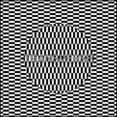 thumbnail image 1 of Transverse, 1 of 1