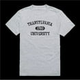 thumbnail image 1 of Transylvania University Pioneers Distressed Arch College T-Shirt, Heather Grey - Small, 1 of 1