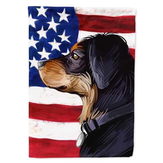 Carolines Treasures CK6744CHF Transylvanian Hound American Canvas House Size outdoor-flags, Multicolor