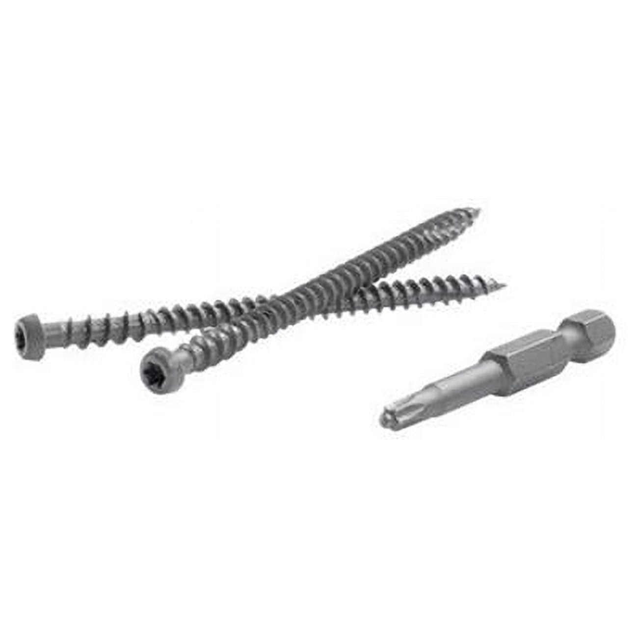 TrapEase 2.5 in. Torx TTAP Star Head Zinc Carbon Steel