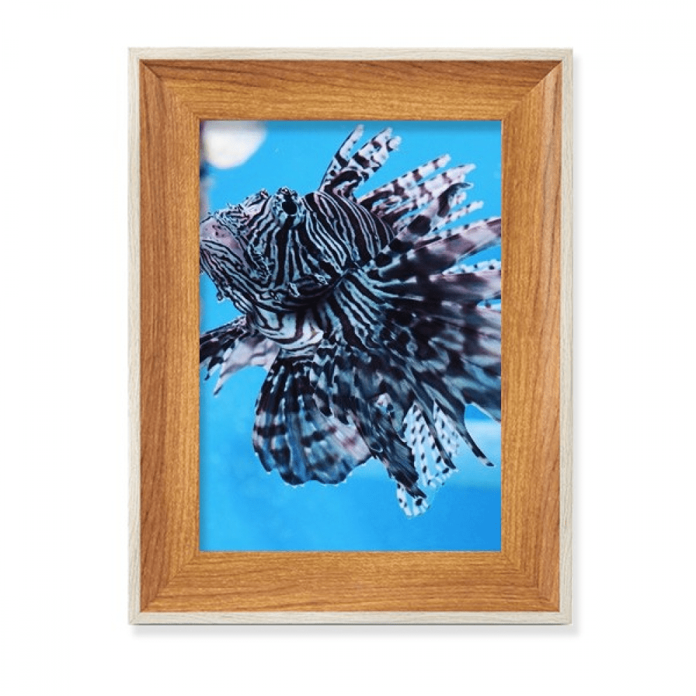 Trapical Fish Marine Organism Ocean Animal Desktop Wooden Photo Frame ...