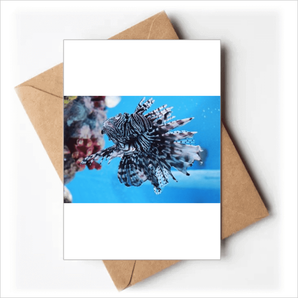 Trapical Fish Marine Organism Ocean Animal Greeting Cards You are ...