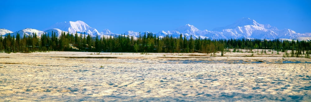 Trapper Creek and Mount McKinley Alaska Canvas Art - Panoramic Images (36 x 12)