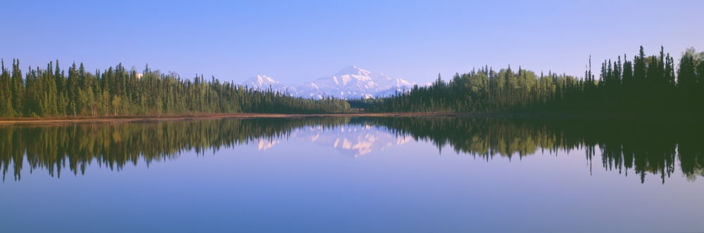 Trapper Creek and Mount McKinley Alaska Canvas Art - Panoramic Images (36 x 12)