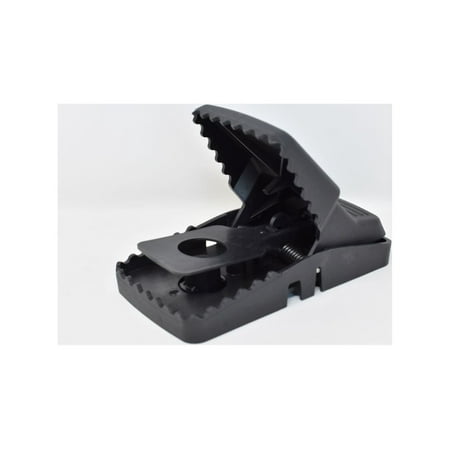 Trapper T-Rex Rat Snap-Trap - Chemical Free Rat Trap Solution - 4 Traps by Bell Laboratories
