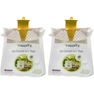 Trappify Indoor Window Fly Traps: Insect and Gnat Killer for Indoor Home Pest Control - 12 Pack, White