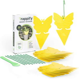 Cribun Fly Paper Fly Strips Fly Catcher Strips 16 Pack Sticky Fruit Fly  Trap for House Indoor Outdoor Use