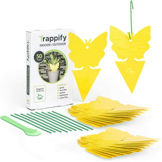 https://i5.walmartimages.com/seo/Trappify-Sticky-Fruit-Fly-and-Gnat-Trap-Yellow-Sticky-Traps-for-Indoor-Outdoor-50-pk_63a9416c-c74d-4f4e-834d-64ea78ad5e10.c0a6306251f3aa522eca36557cbe1aa3.jpeg?odnHeight=320&odnWidth=320&odnBg=FFFFFF