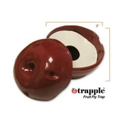 Trapple Fruit Fly Trap - Discreet Fruit Shape, Can be Cleaned & Reused - 1 Trap by Gardner