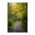 thumbnail image 1 of Trapps Trail - New York Photography Unframed Wall Art Print 20 x 30 inches, 1 of 60
