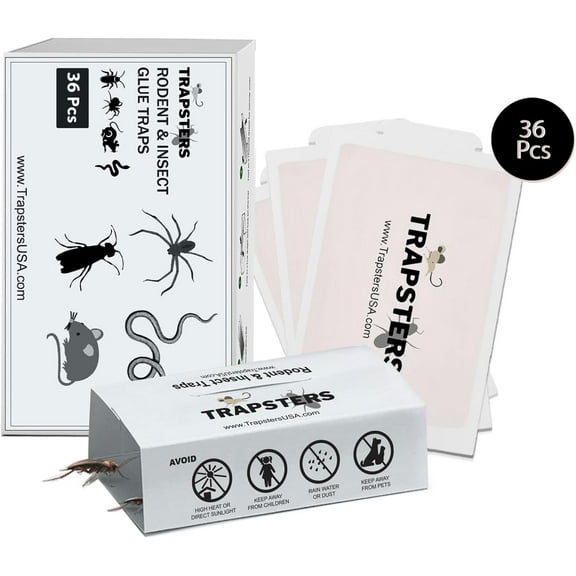 Trapsters Indoor Child Resistant Mice & Roaches Trap Paper, 8.3'' x 5.3'', 36 Count