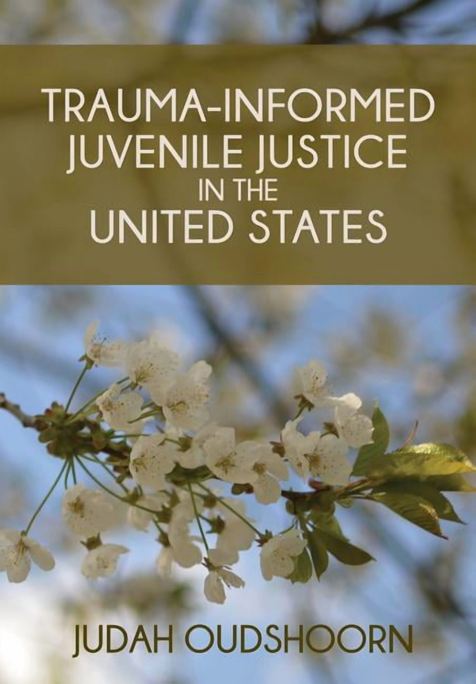 Trauma-Informed Juvenile Justice in the United States, (Paperback)