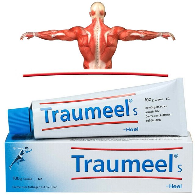 Heel Traumeel S Homeopathic Ointment 100g AntiInflammatory & Pain