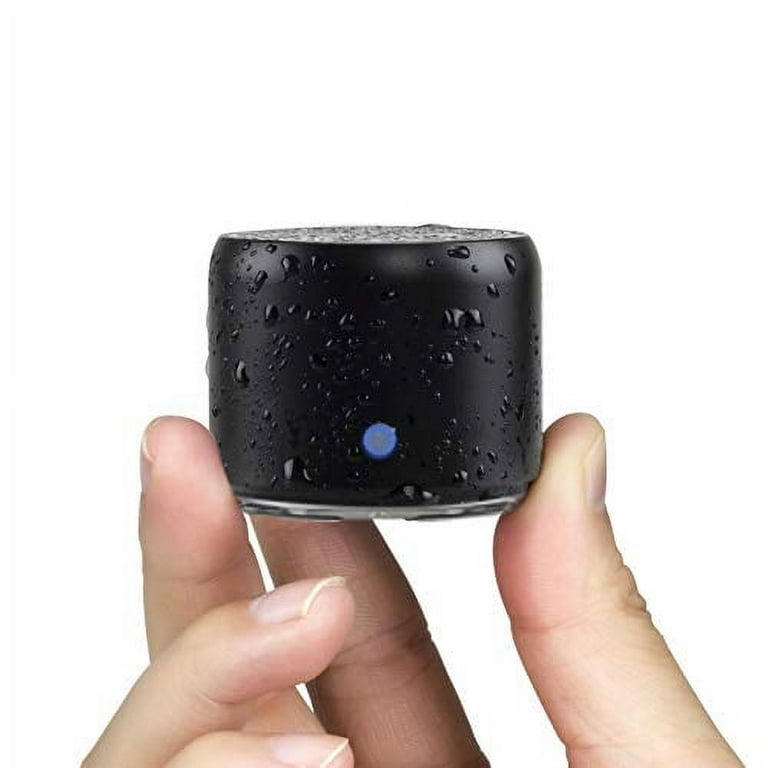 Powerful Sound On-The-Go: Ewa Travel Case Packed A106 Pro Portable Bluetooth Speaker - Perfect Mini Speaker