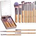 thumbnail image 1 of Travel Makeup Brush Set Foundation  Concealers Eye Shadows Makeup Set with LED light Mirror 14 count Mini Makeup Brushes (), 1 of 6