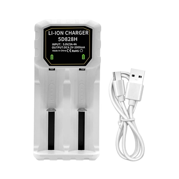 Travel-Ready Bay Charging for 18500 26700 32650 Cells Featuring Reverse Polarity and Compatibility