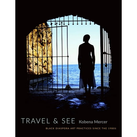 Travel & See: Black Diaspora Art Practices Since the 1980s, (Paperback)