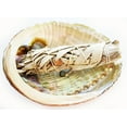 thumbnail image 1 of Travel Smudge Kit: Genuine Large Abalone Shell, 4" California White Sage Mini Wand for Positive Energy & Purification, Love, 1 of 4