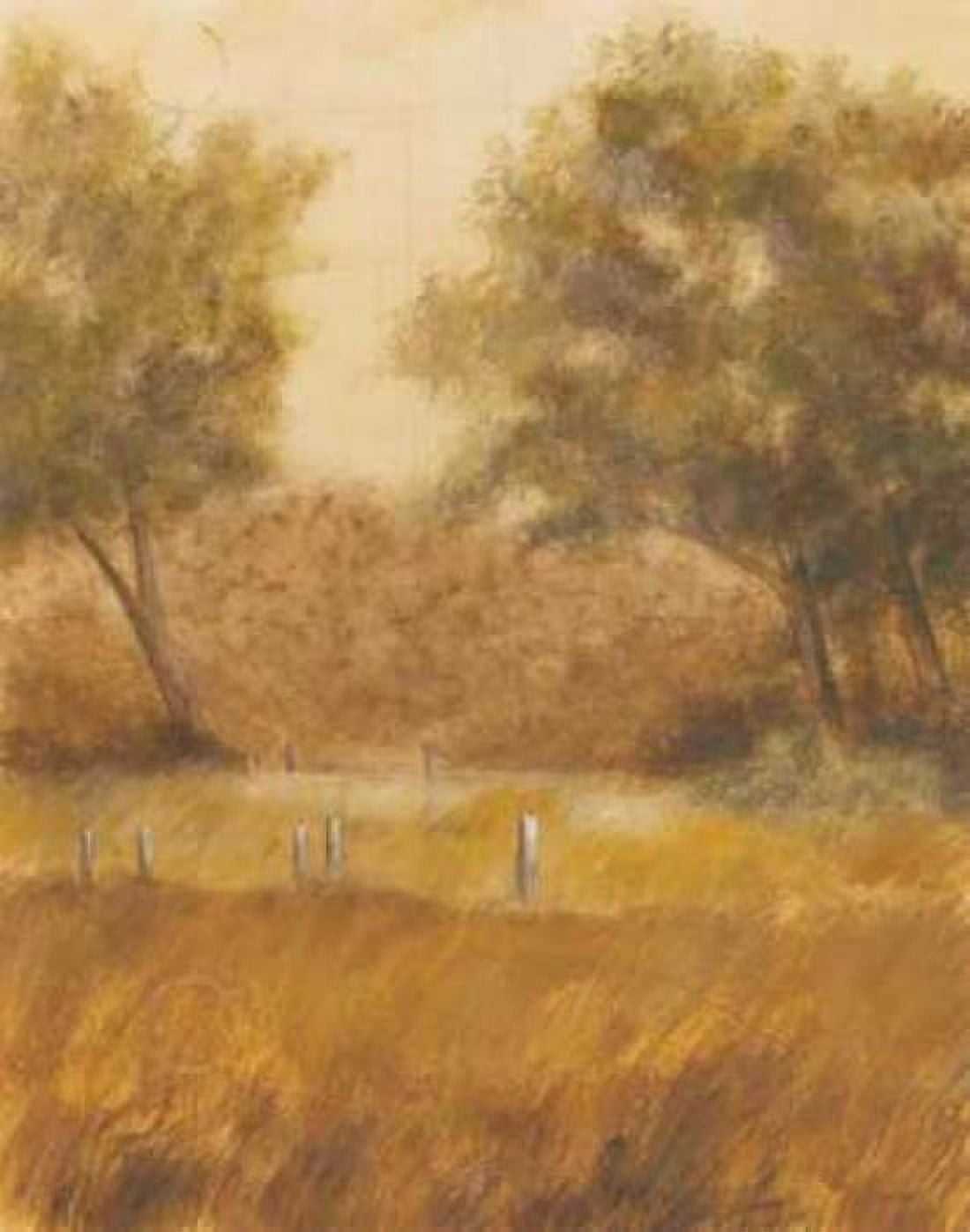 Traveled Path I Canvas Art - Cheryl Martin (22 x 28)