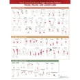 thumbnail image 1 of Travell, Simons & Simons' Trigger Point Pain Patterns Wall Chart: Trunk, Pelvis, and Lower Limb (Other), 1 of 1