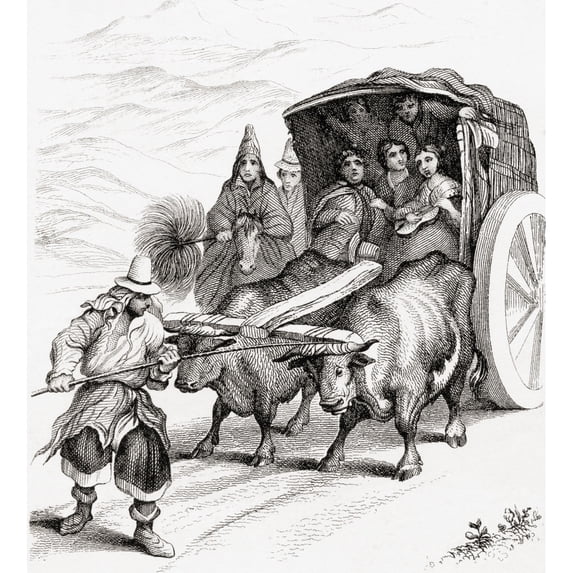 Travelling In Chile In A Two Wheeled Ox Cart In The 19th Century. From A 19th Century Print. by Ken Welsh / Design Pics