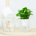 thumbnail image 1 of Travelwant 2Packs Garden Self Watering Plastic Plant Pot, Pretty Transparent Look- Time-Saving Functional Plant Pot - African Violets, Orchid, Flower Pot Container, 1 of 7