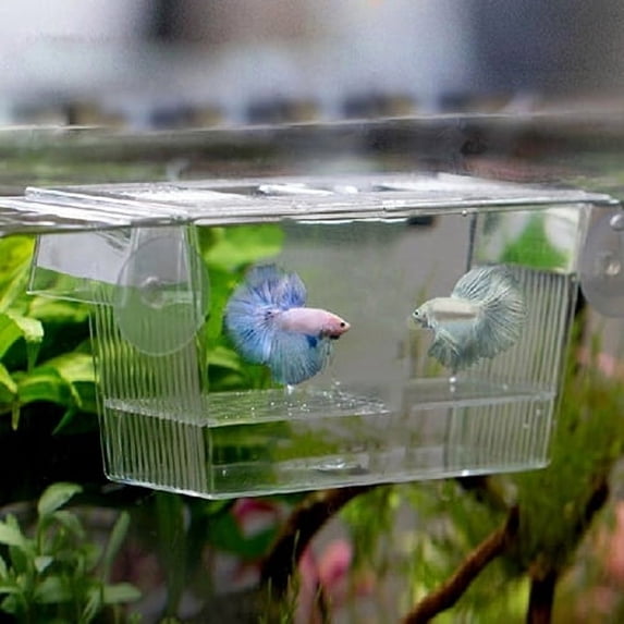 Travelwant Aquarium Fish Tank Guppy Double Breeding Breeder Rearing Trap Box Hatchery for Sick and Pregnancy Fish